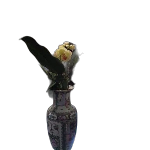 staff, jewelry, bottle, crown transparent PNG cut-out