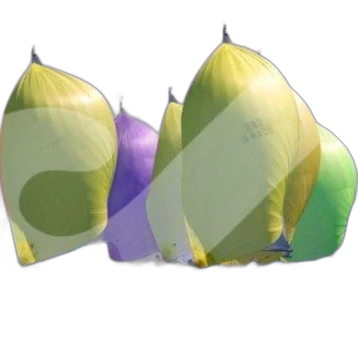 umbrella, crown, hat, shoes transparent PNG cut-out