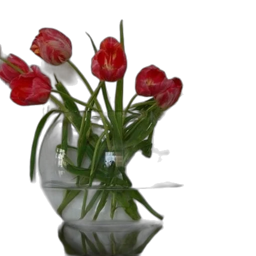 flower, crown, jewelry, furniture transparent PNG cut-out