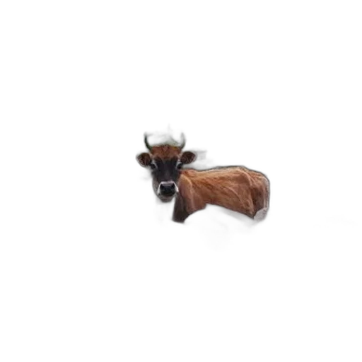 animal, furniture, creature, food transparent PNG cut-out