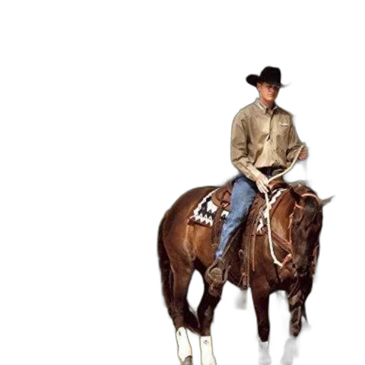 jacket, animal, hat, staff transparent PNG cut-out