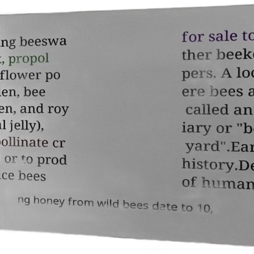 poster, text, about, beekeeping transparent PNG cut-out