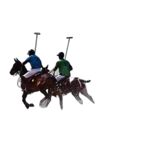 staff, photorealistic, three, polo transparent PNG cut-out