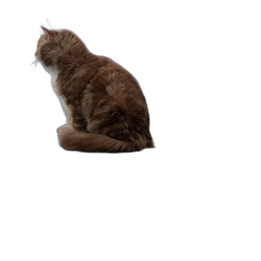 animal, creature, staff, hat transparent PNG cut-out