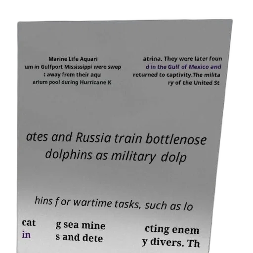 weapon, vaporwave, poster, text transparent PNG cut-out