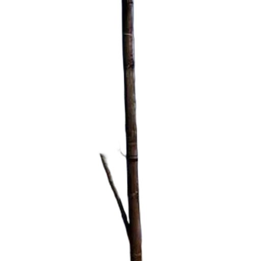staff, sword, weapon, tree transparent PNG cut-out