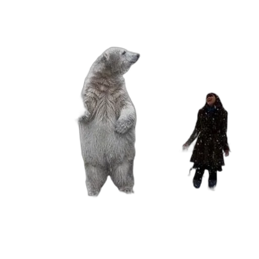 animal, creature, jacket, concept art transparent PNG cut-out