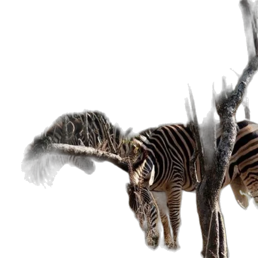 animal, creature, staff, weapon transparent PNG cut-out