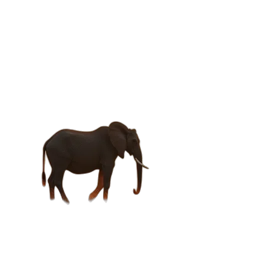 animal, creature, hair, staff transparent PNG cut-out