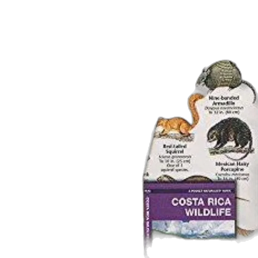 travel, map, costa, rica transparent PNG cut-out