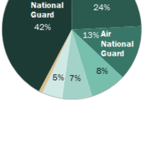 green, pie, chart, showing transparent PNG cut-out