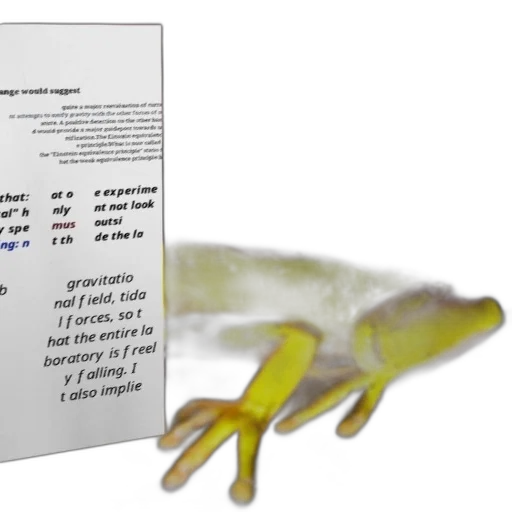 dragon, creature, yellow, frog transparent PNG cut-out