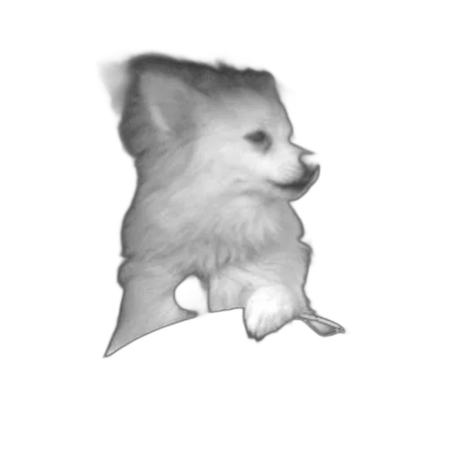 creature, animal, face, staff transparent PNG cut-out