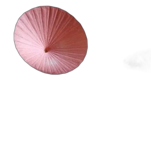 umbrella, hat, flower, hair transparent PNG cut-out