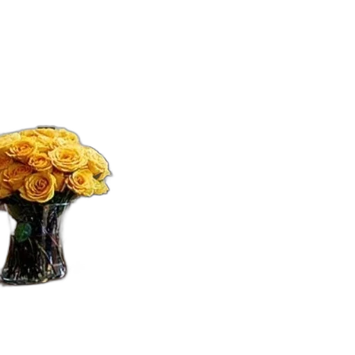 crown, furniture, flower, jewelry transparent PNG cut-out