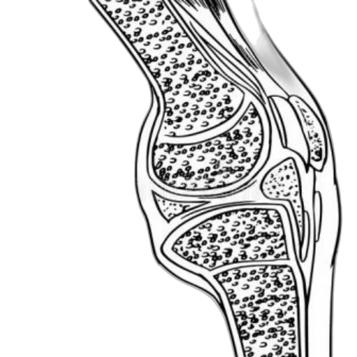 jewelry, crown, shoes, sword transparent PNG cut-out