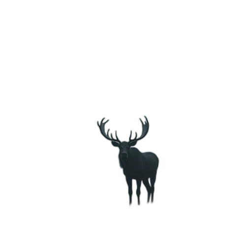 animal, crown, creature, hat transparent PNG cut-out