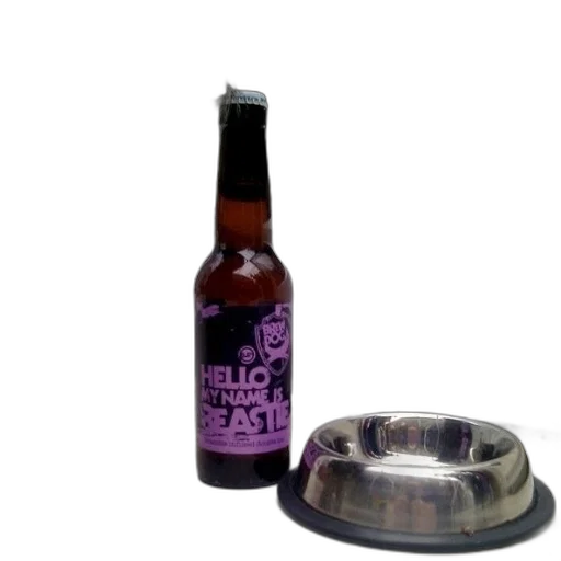 bottle, cat, sniffs, beer transparent PNG cut-out