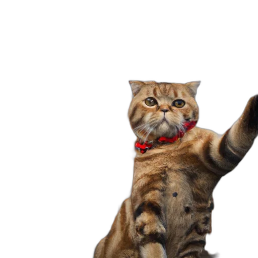 staff, animal, creature, 3d render transparent PNG cut-out