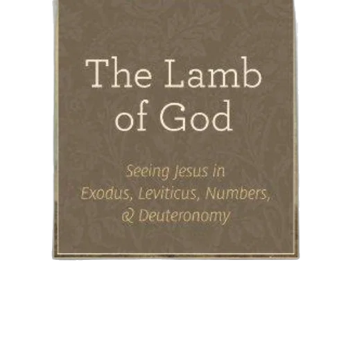lamb, god, seeing, jesus transparent PNG cut-out