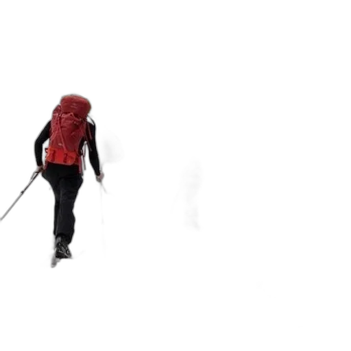 staff, jacket, umbrella, creature transparent PNG cut-out
