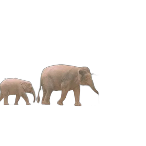 animal, creature, 3d render, concept art transparent PNG cut-out