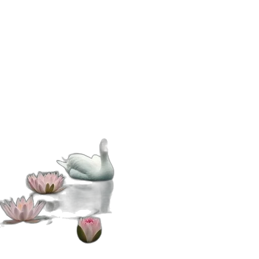 crown, food, flower, shoes transparent PNG cut-out