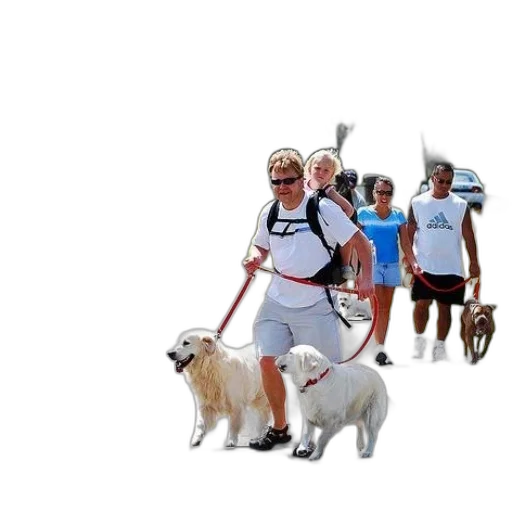 staff, animal, 3d render, concept art transparent PNG cut-out