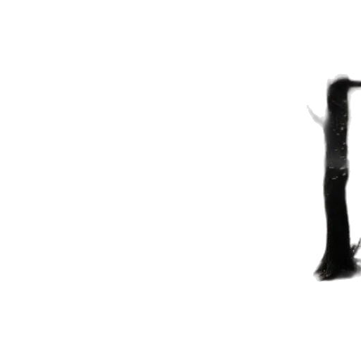 staff, weapon, sword, shoes transparent PNG cut-out