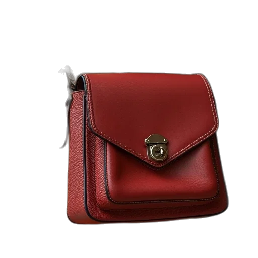 coach, rogue, colorblock, leather transparent PNG cut-out