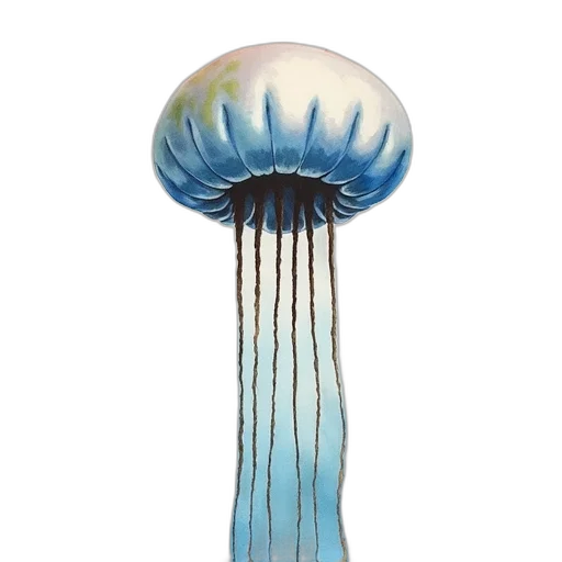 umbrella, hair, hat, crown transparent PNG cut-out