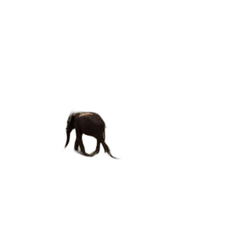 animal, creature, hair, hat transparent PNG cut-out