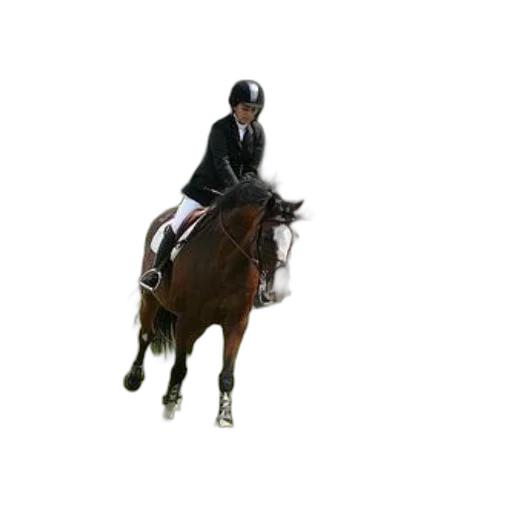 animal, staff, hat, jacket transparent PNG cut-out