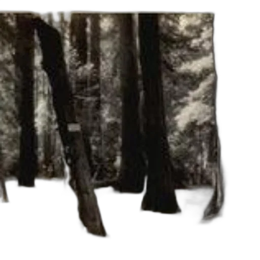tree, shoes, umbrella, jacket transparent PNG cut-out