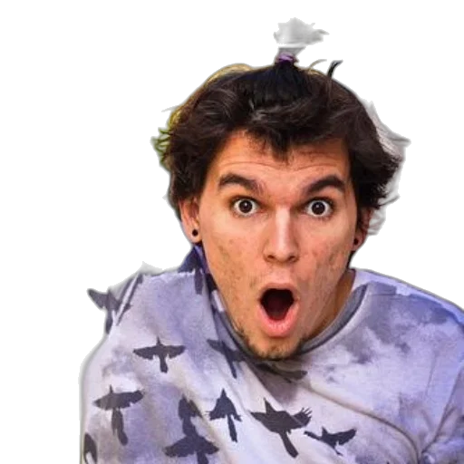 animal, face, hair, creature transparent PNG cut-out
