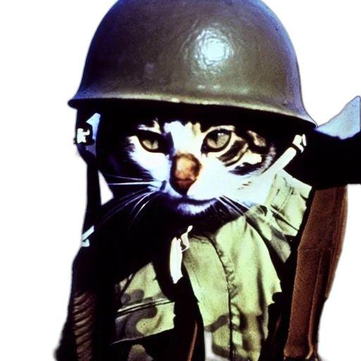 animal, weapon, staff, hat transparent PNG cut-out