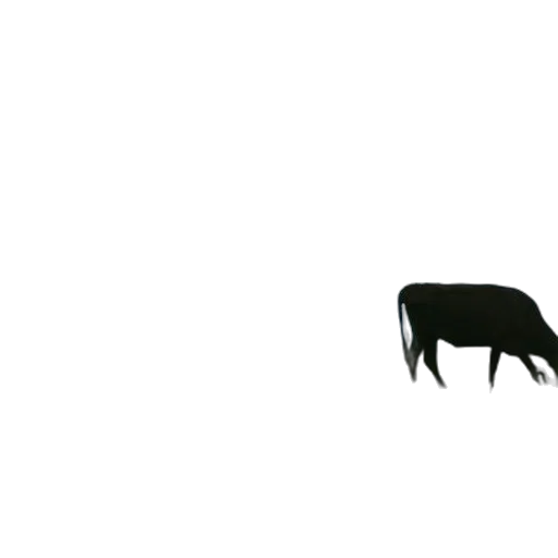 animal, creature, food, furniture transparent PNG cut-out