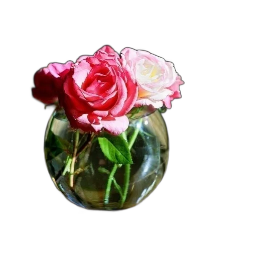 flower, crown, jewelry, bottle transparent PNG cut-out