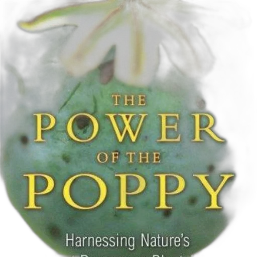 flower, power, poppy, book transparent PNG cut-out