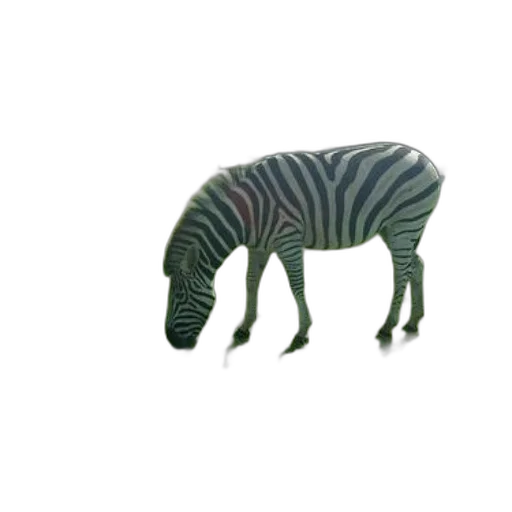 animal, creature, furniture, dragon transparent PNG cut-out