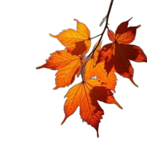 crown, tree, staff, flower transparent PNG cut-out