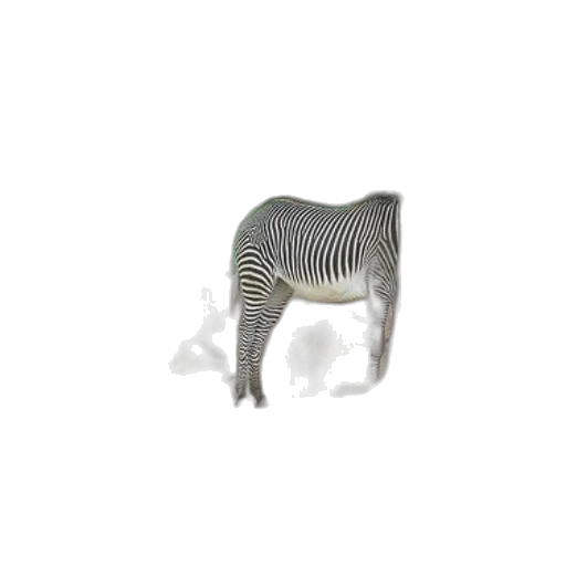 animal, furniture, creature, robot transparent PNG cut-out