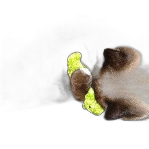 hair, staff, animal, creature transparent PNG cut-out