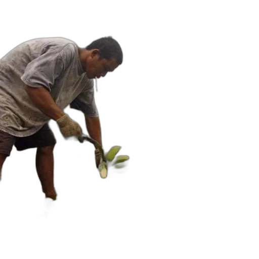 staff, weapon, flower, shoes transparent PNG cut-out
