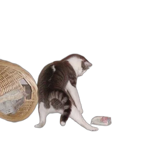 3d render, concept art, cat, stretches transparent PNG cut-out
