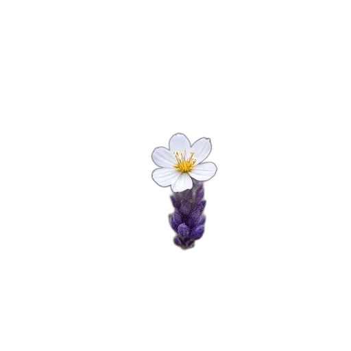 flower, staff, weapon, crown transparent PNG cut-out
