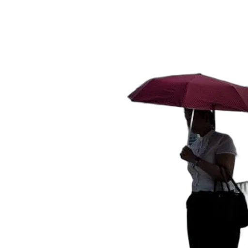 umbrella, hat, staff, dress transparent PNG cut-out