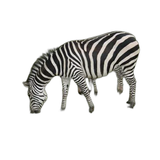 animal, creature, jewelry, furniture transparent PNG cut-out