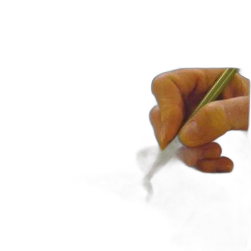 weapon, staff, umbrella, flower transparent PNG cut-out
