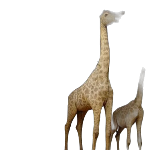 animal, creature, 3d render, concept art transparent PNG cut-out
